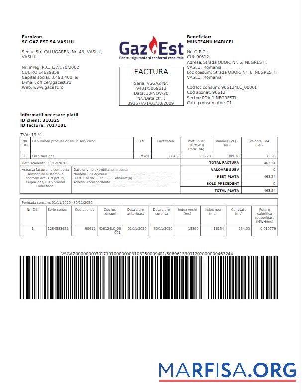 Blank ROMANIA GAZ EST utility bill Word and PDF template